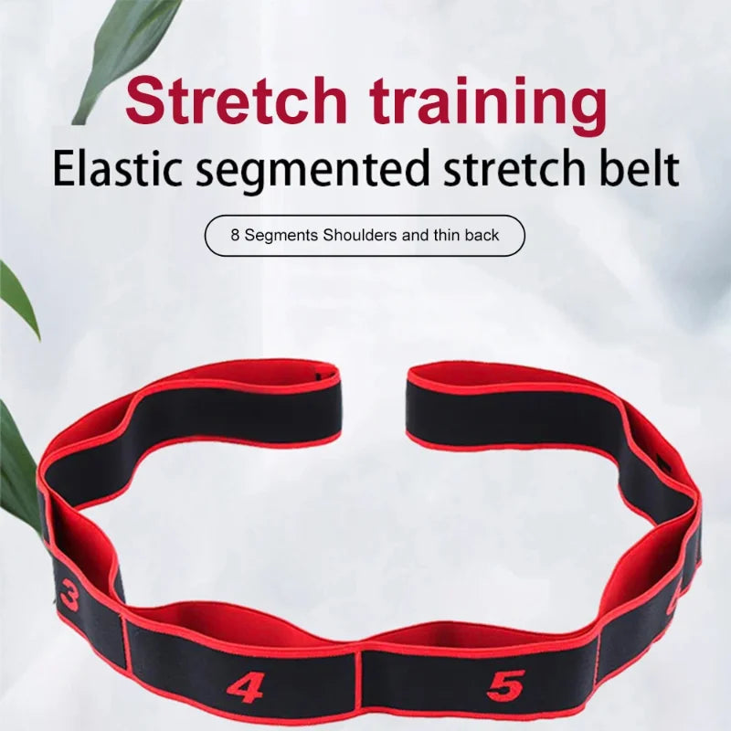 8-Segment Resistance Band