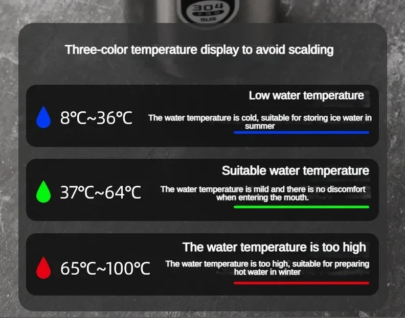 LED Display Stainless Steel Thermos Bottle