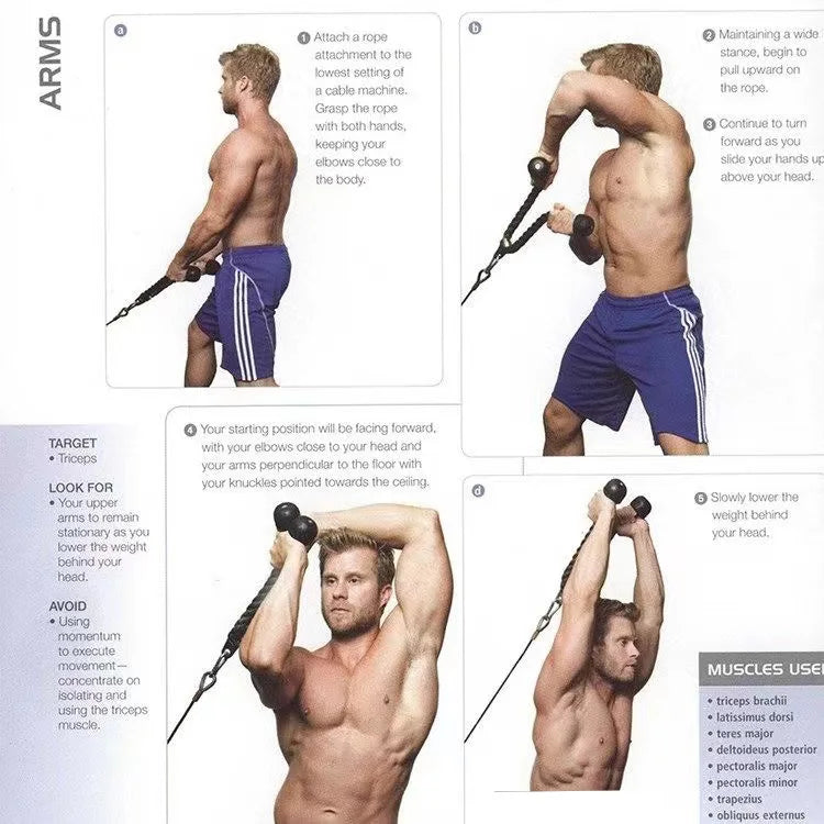 Triceps & Back Workout Rope Handle